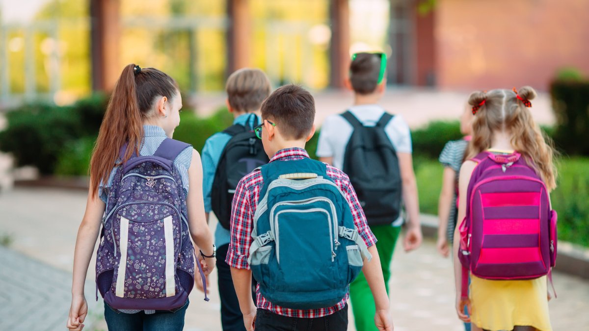 Fuga nemo aptent quaerat explicabo urna ni like ange